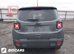 جيب رينيجيد